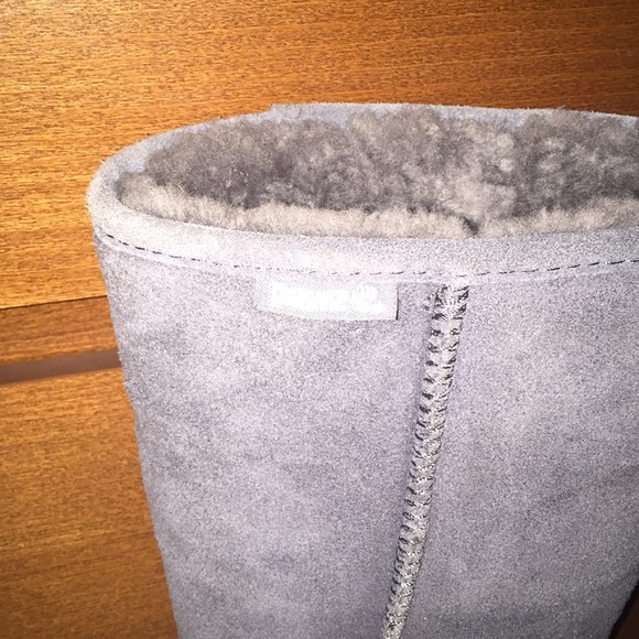 Paws - Picture 3 of 6